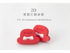 2D客製化隨身碟（PVC 2D Customized USB Flash Drive）