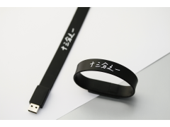  FB100 手環隨身碟（Bracelet style USB Flash Drive）