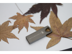 BT500 COB黑鎳．白鎳碟（Metal Fashion COB USB Flash Drive）