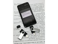 S100-OTG Type-C OTG旋轉碟（ Type-C OTG Swivel Flash drive）